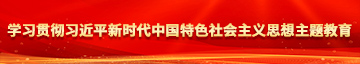 精品扣逼暗网学习贯彻习近平新时代中国特色社会主义思想主题教育