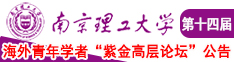 高潮超清操逼视频南京理工大学第十四届海外青年学者紫金论坛诚邀海内外英才！